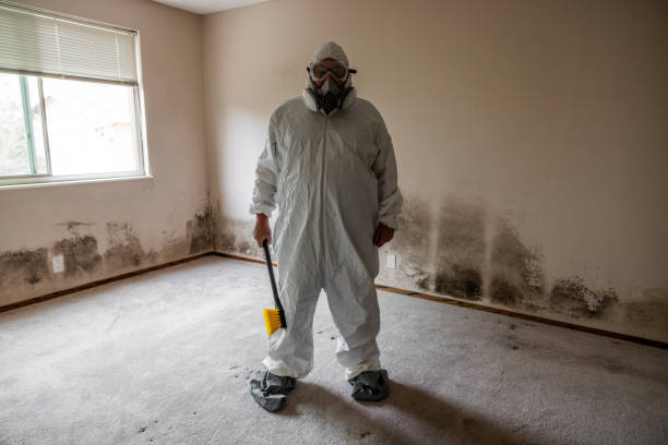 Best Mold Remediation  in Grantsburg, WI